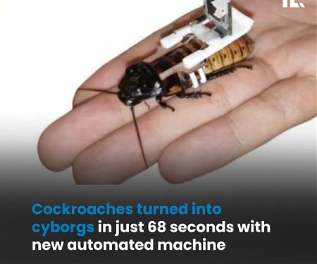 (Paper) Cockroaches Turned Into Cyborgs in Just 68 Seconds with New Automated Machine