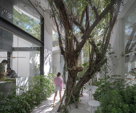 IDIN Architects Uses Glass and Mirrors to Blend Bangkok Cafe Into Garden Site