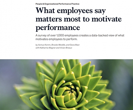 (PDF) Mckinsey - What Employees Say Matters Most to Motivate Performance