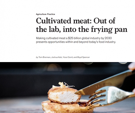 (PDF) Mckinsey - Cultivated Meat : Out of The Lab, Into the Frying Pan