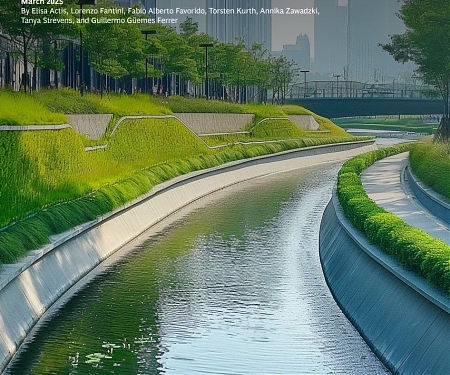 (PDF) BCG - A Value-Driven Approach to Nature-Based Infrastructure