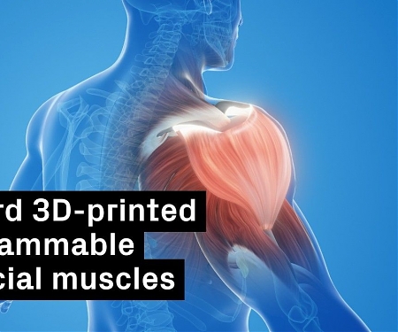 Harvard - Toward Artificial Muscles That Bend and Twist on Demand