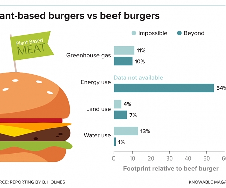 How Sustainable are Fake Meats ?
