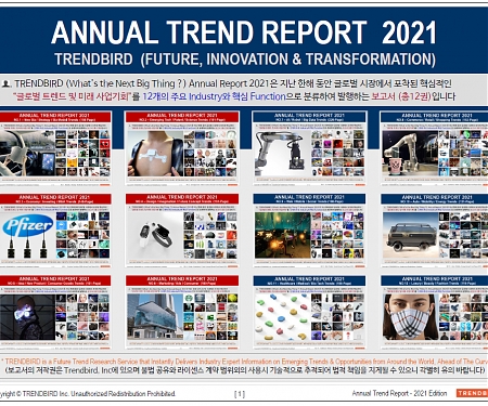 Annual Trend Report - 2021 Edition Released !
