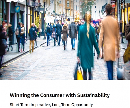 (PDF) BCG - Winning The Consumer with Sustainability