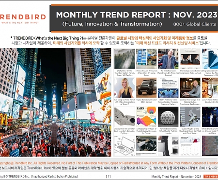 Monthly Trend Report - November 2023