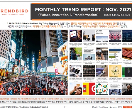Monthly Trend Report - November. 2021 Edition