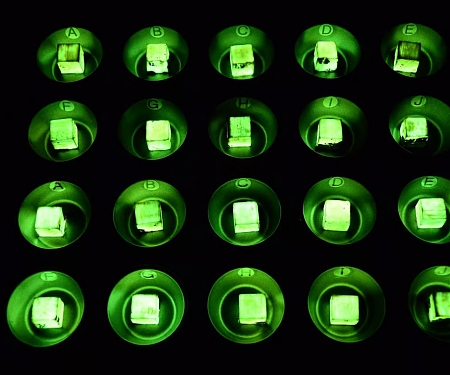 (Video) Glow-in-the-Dark Wood Passively Lights Homes or Parks