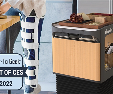 (CES 2022) This Labrador "Retriever" Robot Assists Those with Chronic Pain
