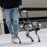 (Video) These AI-Powered Guide Dogs Don’t Just Lead – They Talk