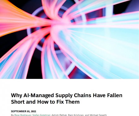 (PDF) BCG - Why AI-Managed Supply Chains Have Fallen Short and How to Fix Them