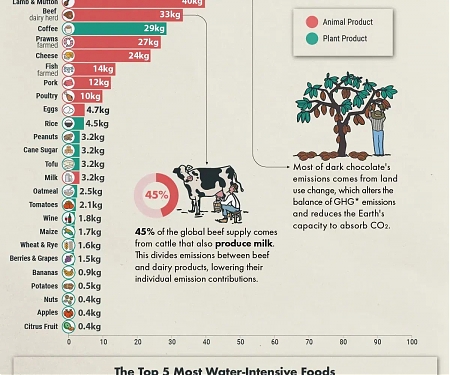 (Infographic) Environmental Impacts of Food Production