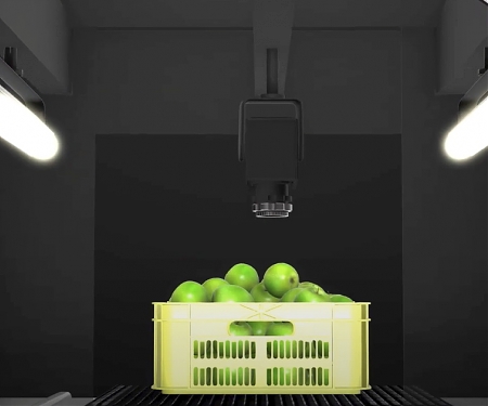 (VIdeo) No Bad Apples : Artificial Intelligence Checks Fruit Inside And Out - Neolithics