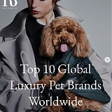 Top 10 Luxury Pet Brands Market Ranked