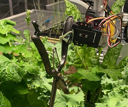 Robot Passes Turing Test for Polyculture Gardening