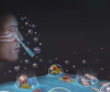 Preclinical Studies Suggest A Drug-free Nasal Spray Could Ward Off Respiratory Infections