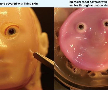 Researchers Craft Smiling Robot Face from Living Human Skin Cells