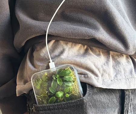 This Beautiful, Biophilic Phone Case Is On A Mission To Reduce Your Screen Time