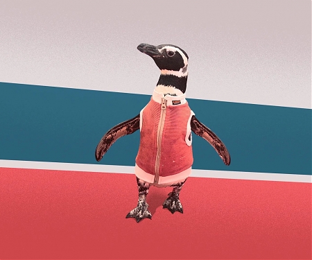 This Antimicrobial Penguin Vest Isn’t Just Precious. It Could Be Lifesaving