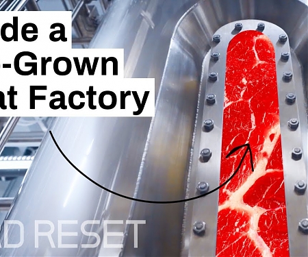 (Video) This Startup is Trying to Solve Lab-Grown Meat’s Biggest Problem