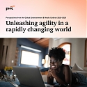 PwC - Perspectives From The Global Entertainment & Media Outlook 2025–2029