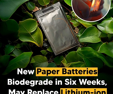 (CES 2025) Flint Unveils Biodegradable Paper Batteries