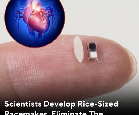 (Video) World’s Smallest Pacemaker is Activated by Light
