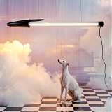 When Your Childhood Pen Becomes Your Living Room Centerpiece