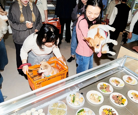 As China’s Birth Rate Drops, Pampered Pets Reap the Benefits