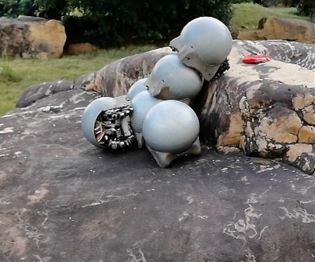 (Video) Scientists Create Robot Snails That Can Work Together to Climb