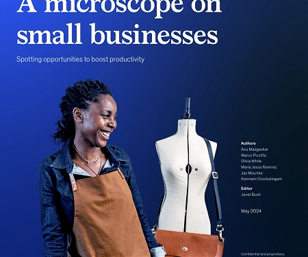 (PDF) Mckinsey  - A Microscope on Small Businesses : Spotting Opportunities to Boost Productivity