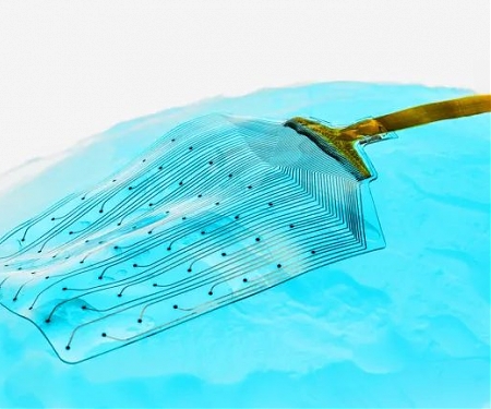 New Brain Implant is “Basically 1,000 Times Softer” Than Anything onThe Market