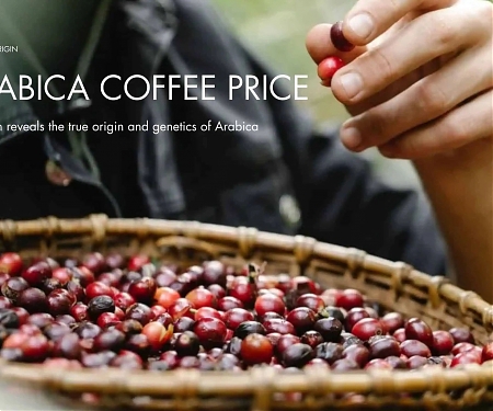 Your Arabica Coffee Will Get Even Pricier as Beans Soar to Record $4 a Pound