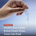 (Video) EPFL - Eco-Friendly Aquatic Robot Is Made From Fish Food