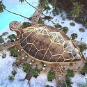 (Video) Giant Turtle-Shaped Beach Restaurant