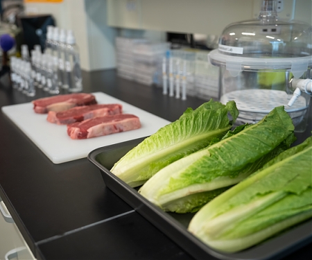 (Paper) Food Decontamination Spray Deploys "Billions of Tiny Soldiers"