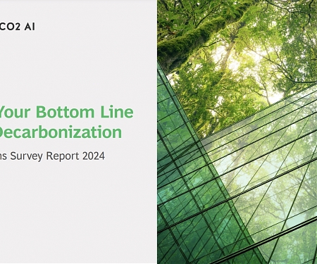 (PDF) BCG and CO2 - AI Carbon Emissions Survey Report 2024