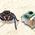(Paper) Bug-Sized Bots Get More Nimble With Flexible Actuators