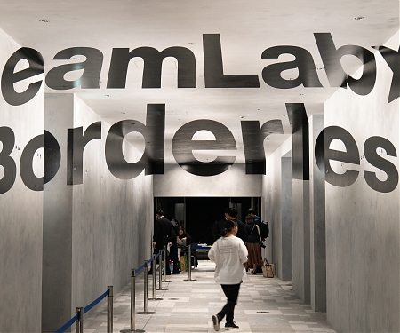 Immersive Art Is Exploding, and Museums Have a Choice to Make - TeamLab