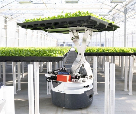 Amazon-Backed Startup, Hippo Harvest Raises $21M for Greenhouse Robots