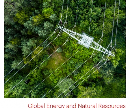 (PDF) Bain - Global Energy and Natural Resources Report 2021