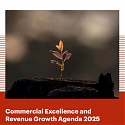 (PDF) Bain - Commercial Excellence and Revenue Growth Agenda 2025