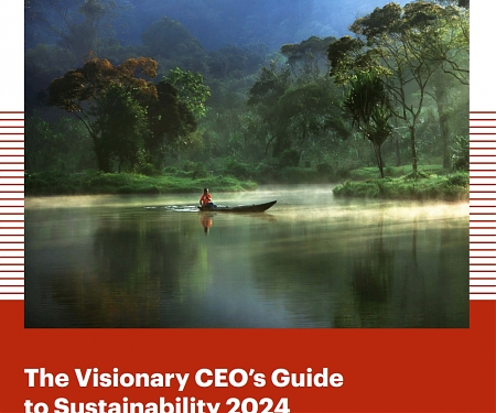 (PDF) Bain - The Visionary CEO’s Guide to Sustainability 2024