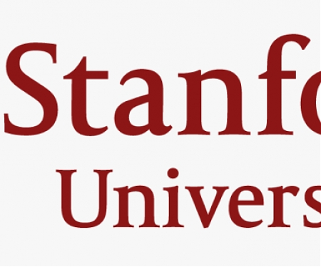 (Paper) Stanford Scientists Created an Injectable Hydrogel to Attack Solid Tumors