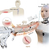 New Robotic Skin Lets Humanoid Robots Sense Pain And React Instantly