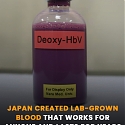 Japan to Begin Clinical Trials for Artificial Blood in 2025