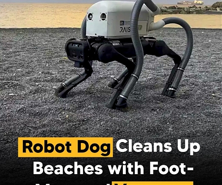 (Video) Robot Dog, Vero Cleans Up Beaches With Foot-Mounted Vacuums