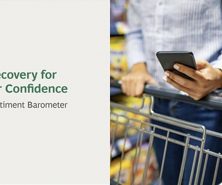 (PDF) BCG - A Slow Recovery for Consumer Confidence