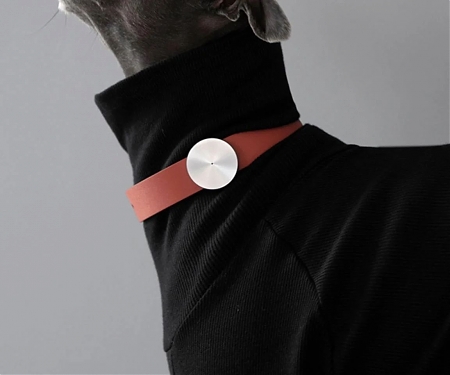 AI Health Tracking is Coming to the Pet Wearable World - The Cotons AI LifeTrack Collar