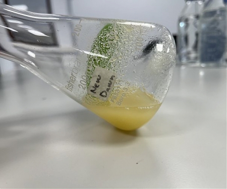A Sliver of Lab-Grown Wood has been Made from Stem Cells